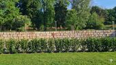 IMG-20260530-WA0040 - Provisionsfrei* Großzügige 3-Zimmer Erdgeschosswohnung mit Garten und Terrasse - Erstbezug