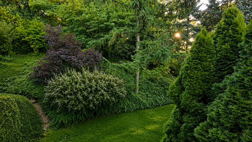 Garten rechts - 