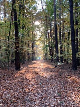 2068252e-13ee-4d7e-a35f-def9c6fe7a4a - 