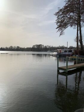 18183006-1cad-4269-a3a0-c268ff562edb - 