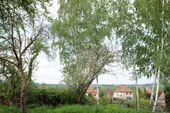 Garten-Ende-Aussicht - 