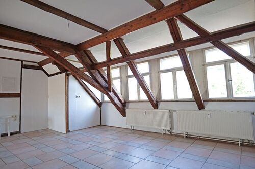 Großer Mehrzweckraum-Gaube - 