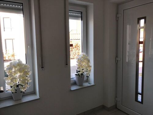 IMG-20200405-WA0121 - 