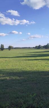 Ausblick - 