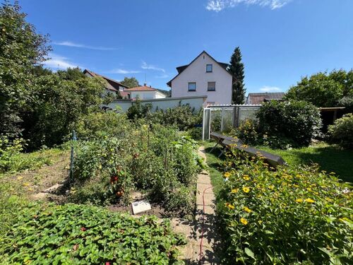 IMG_3181 Kopie - Grundstück in Seeheim-Jugenheim