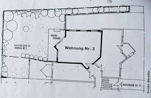 IMG_20251103_142711 - 