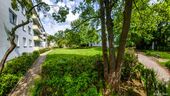 backyard_park - 