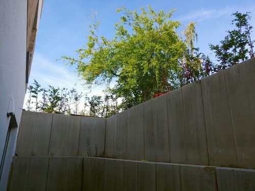 Ausblick Feldstr. 12a - 