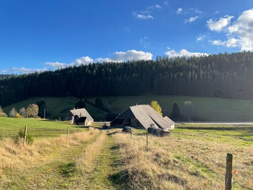 1730376017 (1) - Provisionsfrei* Historisches Hofareal im Urachtal, -75 ha Land, Wald, Jagd