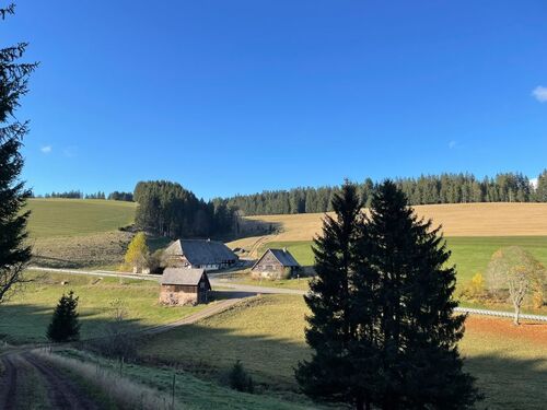 1730376017 - Landw. Anwesen zum Kaufen in Vöhrenbach