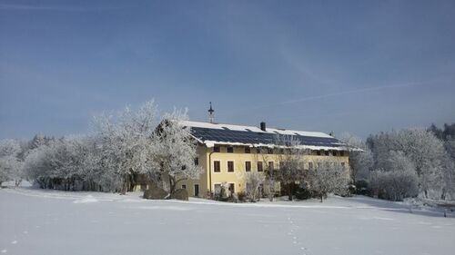 20190207_095251 - Idylle pur-traumhafte Wohnung im Einödhof Südwest