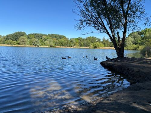 110d Malchower See - 