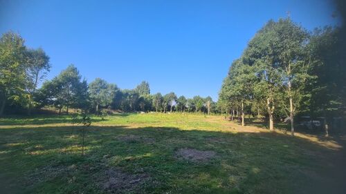 optionaler Wald von 15.000 qm - 