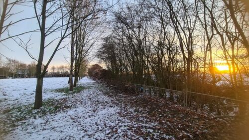 Zuweg zum Offenstall im Wald, 7.1.2026 - 