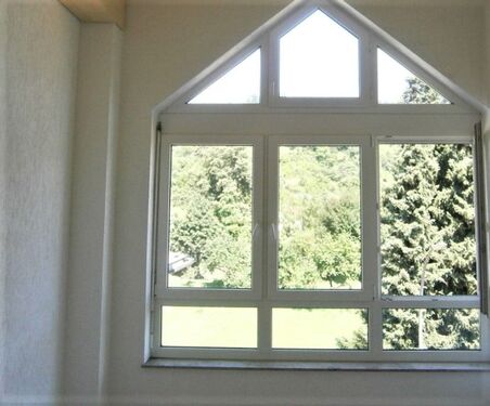 Ausblick vom Esszimmer - 5 Zimmer Loft - Studio - Atelier zum Kaufen in Lorch