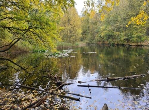 Naturschutzgebiet direkte Nähe - 