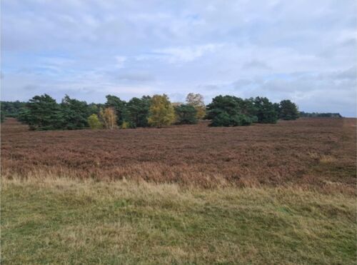 Naturschutzgebiet direkte Nähe - 
