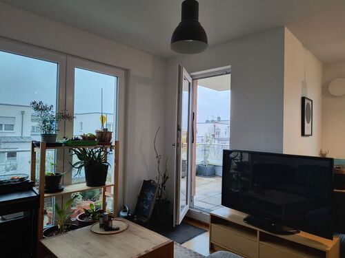 IMG_20251101_154441579_HDR - 