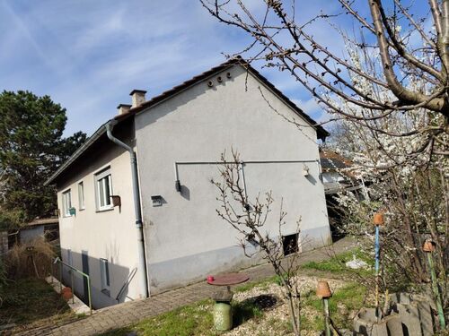 Hausansicht - 3 Zimmer Einfamilienhaus zum Kaufen in Bobenheim-Roxheim
