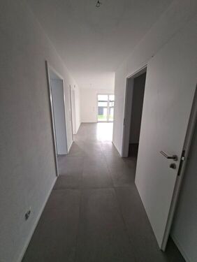 WhatsApp Image 2025-11-02 at 19.12.07 (3) - 