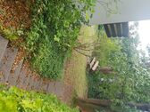 Zugang_Garten - 