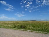 Blick von Strasse - Freizeitgrundstück in Insel Hiddensee