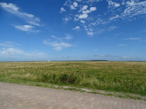 Blick von Strasse - Freizeitgrundstück in Insel Hiddensee