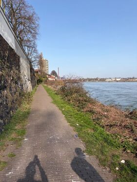 Rheinufer Spazier und Radweg - 