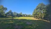 optionaler Wald von 15.000 qm - 