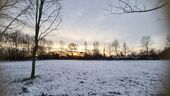 Wald, 7.1.2026 - 