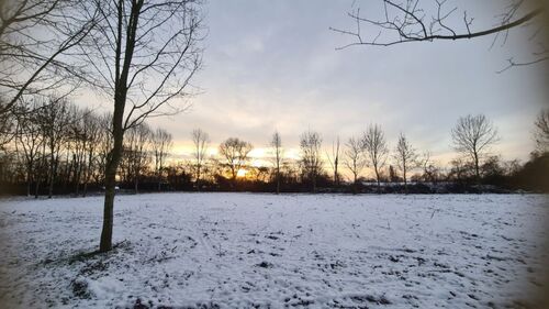 Wald, 7.1.2026 - 