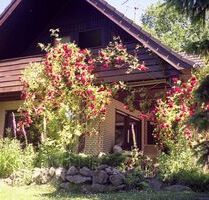 Provisionsfrei* Haus mit Riesengrundstück in Celle-Wietzenbruch