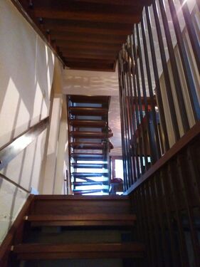 Blick von der Kellertreppe - 