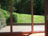 IMG_3109 - 