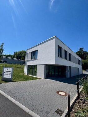 IMG_2846 - Büro in Mühltal zur Miete