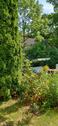 IMG_20220805_113556 Garten - 