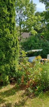 IMG_20220805_113556 Garten - 
