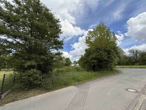 Grundstück mit Busch- und Baumbestand - Provisionsfrei* Baugrundstück in Fronhofen