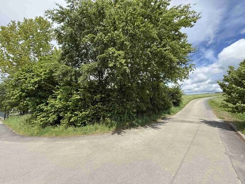 Ansicht von Süden - 
