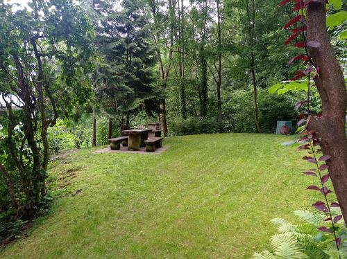 Gemeinschaftsgarten - 