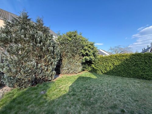 Garten 1 - 4 Zimmer Einfamilienhaus zur Miete in Dietzenbach