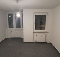 Provisionsfrei* Gemütliches 1-Zimmer-Apartment mit Küchenzeile und Duschbad in Hamburg-Bergedorf