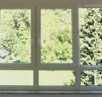 NATURNAH & LUXUSPUR Penthouesfeeling 5 Zi. DG 147m² + 17m² UG Hobby an max. 4 Pers. Nichtraucher - Lorch