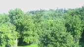Aussicht - 2.5 Zimmer Dachgeschoßwohnung in Stuttgart
