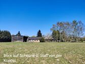Blick auf Scheune u. Stall von der Koppel - 4 Zimmer Mehrfamilienhaus, Wohnhaus in Gremersdorf-Buchholz
