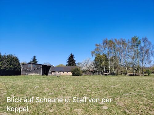 Blick auf Scheune u. Stall von der Koppel - 4 Zimmer Mehrfamilienhaus, Wohnhaus in Gremersdorf-Buchholz