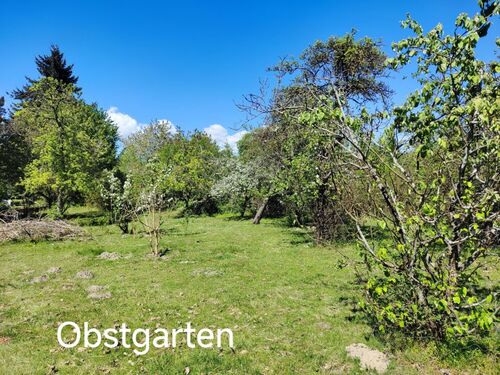 Obstgarten - 