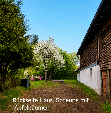 Rückseite Haus u. Scheune mit Apfelbäumen - 