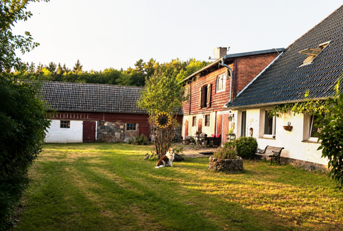 Hofansicht - Provisionsfrei* Idyllischer Pferdehof mit Wohnhaus, ca. 2 ha Land und großer Scheune