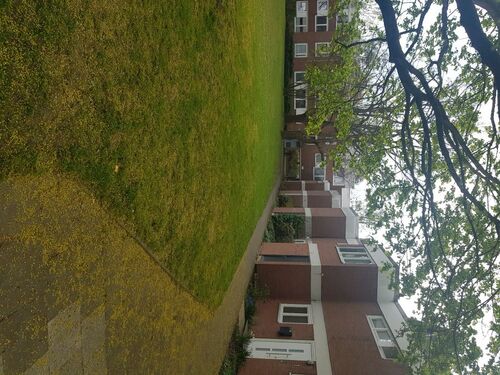 20260417_Ansicht Zugang außen - 5 Zimmer Reihenmittelhaus zum Kaufen in Göttingen